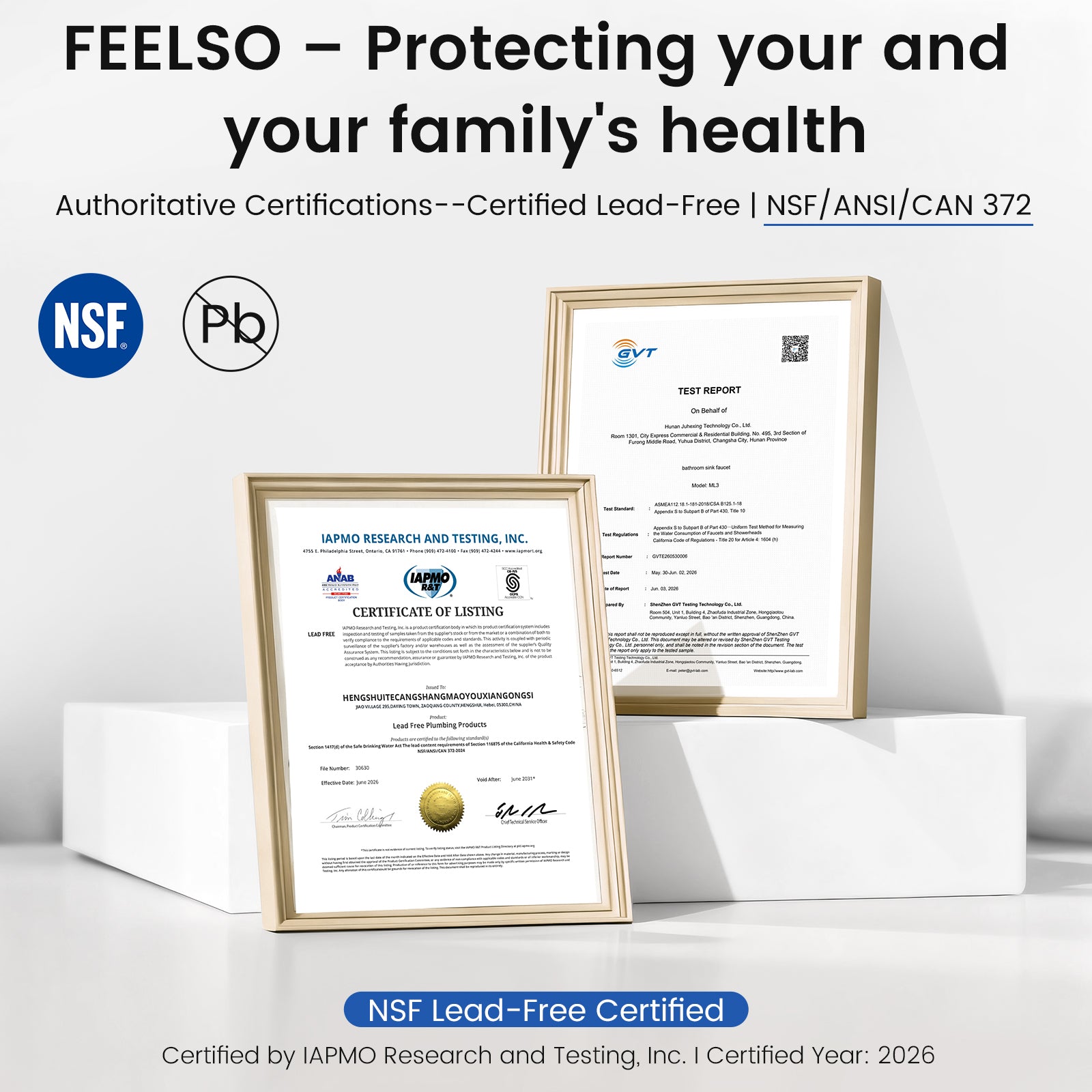 FEELSO FL2S-KE7120LS Brushed Nickel Kitchen Faucet